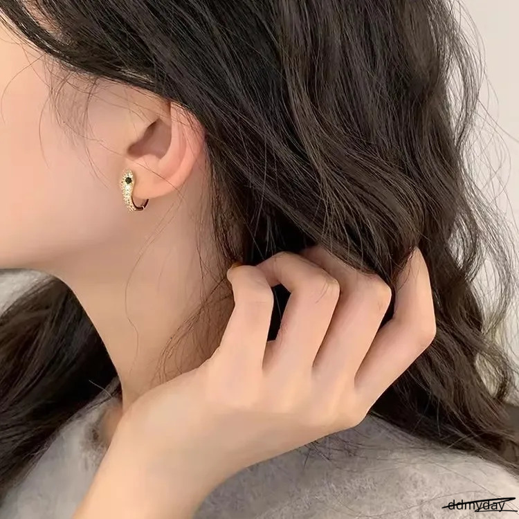 S Sterling Sier Serpentine Earrings For Women - Fashion Micro Zircon Inlaid Bright Hip Hop Style Ddmyday