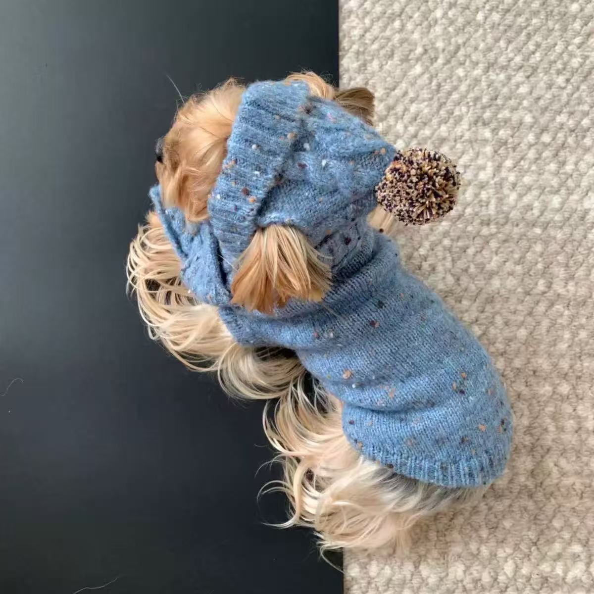T1783 Pet Clothes Autumn and Winter Sweater Set Small Dog Bichon Pomeranian Yorkshire Terrier Cat Dog Warm Two-legged