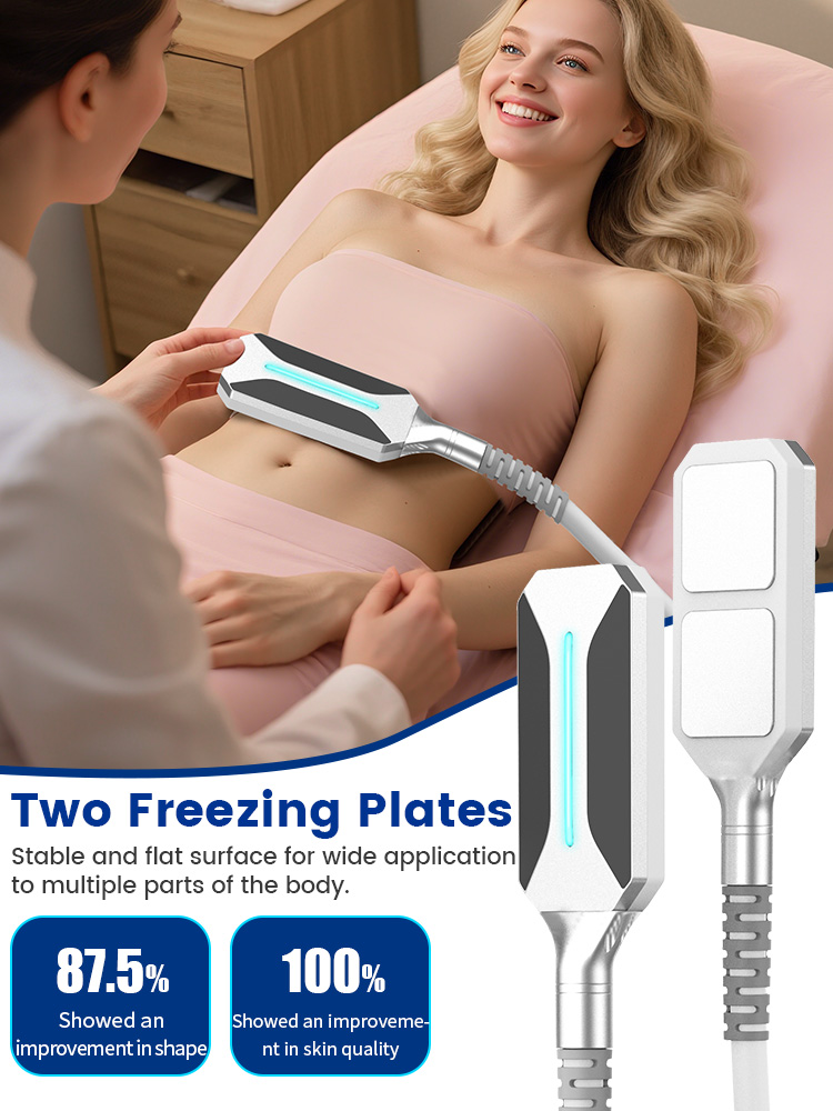 4 In 1 Body Shape Slimming Cryoslim Cool Face Lift Sculpting Machine Fat Removal EMS Paddles Cryo Heating T Shock Hot Selling