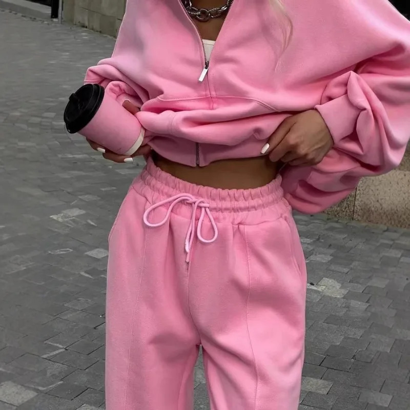 Winter Sweat Suit Set Pink Women Zipper Hoodies 2 Two Pieces Outfit Pants Casual Loose Winter Warm Tracksuits Sport Hooded Women 251010