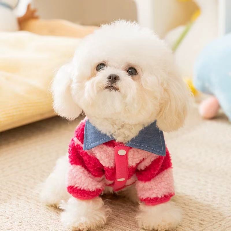 T1774 Puppy Dog Clothes Autumn and Winter 2025 New Pet Teddy Bichon Schnauzer Kitten Small Puppy Winter