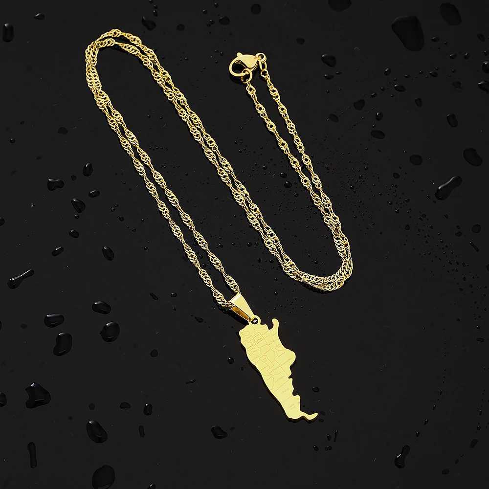 Fashion Argentina Map City Pendant Necklace Stainless Steel Men Women Gold Color Ethnic Maps Jewelry Gift V251022