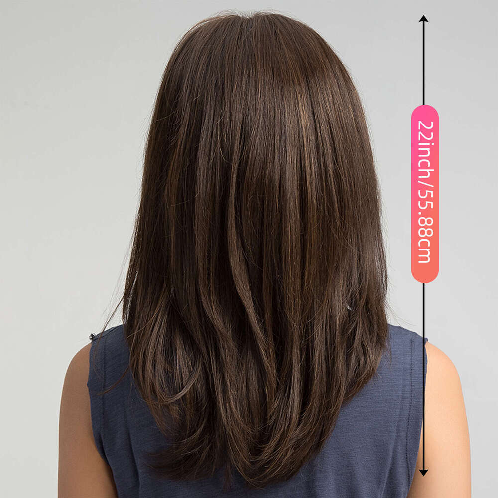 Full Wig Dark Brown Side Part Long Straight Matte High Temperature Fiber Age-Reducing High-Layered Collarbone Hair