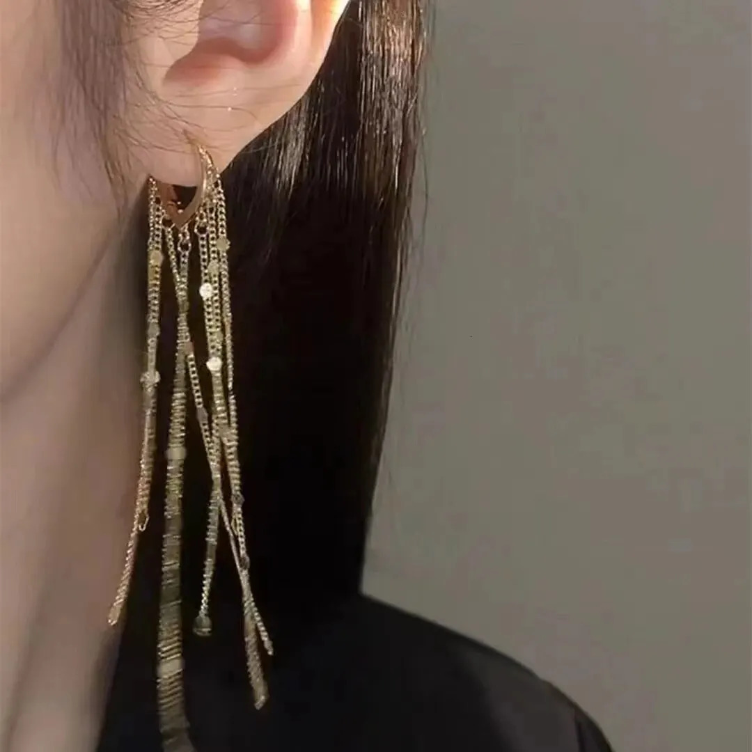 Droplet Shaped Long Tassel Earrings 251022