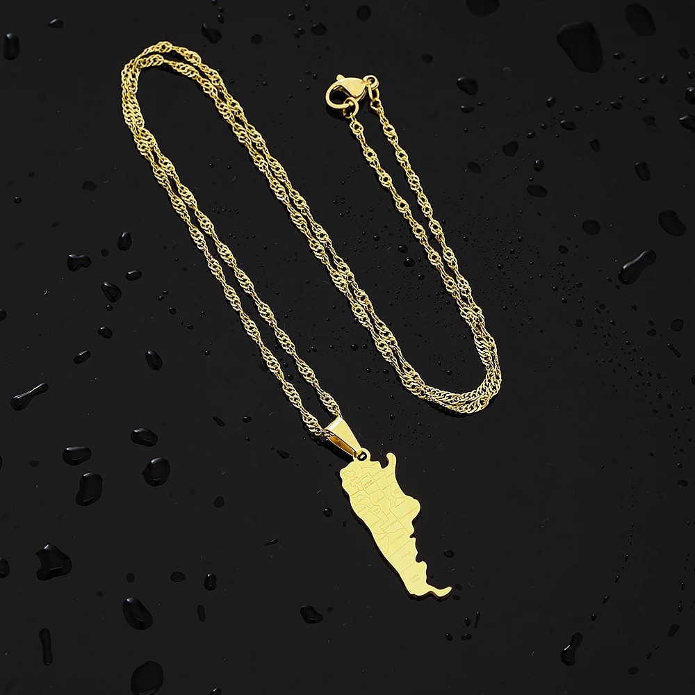 Fashion Argentina Map City Pendant Necklace Stainless Steel Men Women Gold Color Ethnic Maps Jewelry Gift U251022