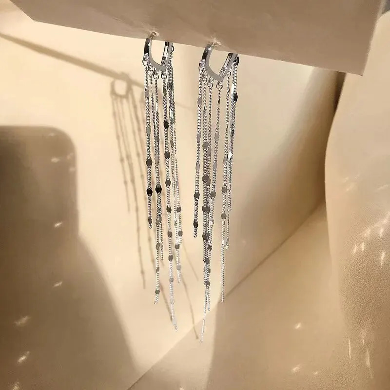 Droplet Shaped Long Tassel Earrings 251022
