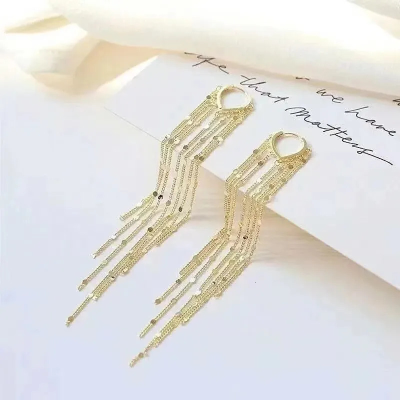 Droplet Shaped Long Tassel Earrings 251022