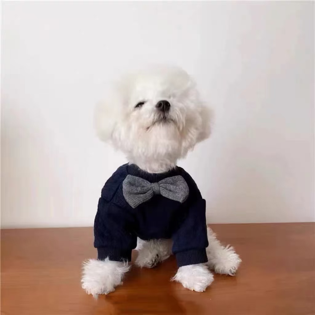 T1895 Pet puppy British gentleman bow tie clothes autumn and winter Teddy Bichon small puppy cat clothing