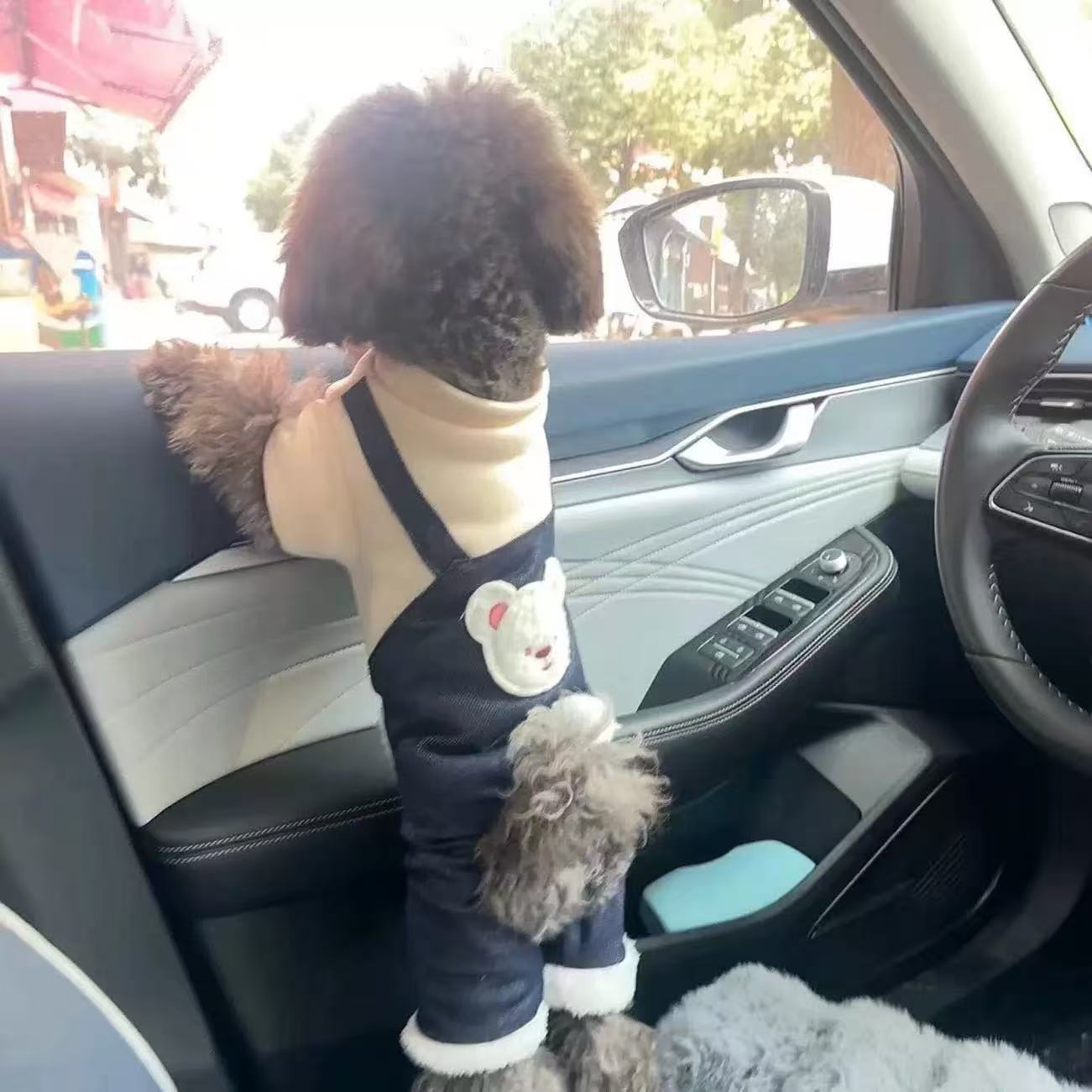 T1799 Dog and cat clothes pet winter fashion Teddy Bichon Schnauzer Pomeranian snowproof cotton coat thickened four-legged clothes