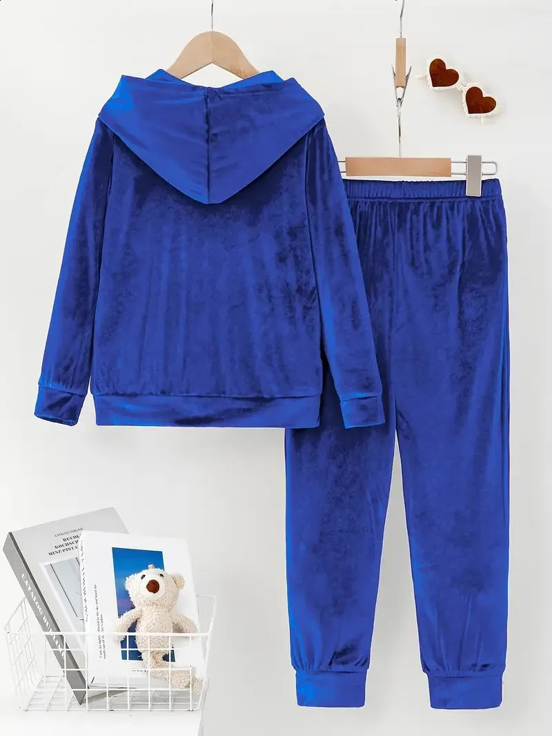 Autumn Winter Plush Two Piece Set Loose Solid Color Hooded Long Sleeved Sweatshirt Elastic Waist Trousers For Women 251022