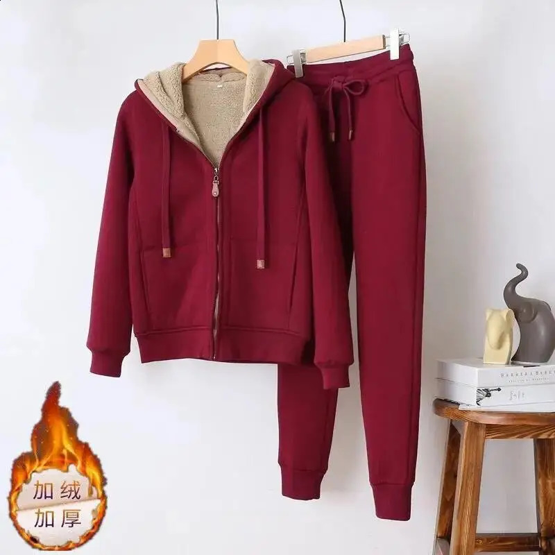 Womens Autumn Winter Plush Thickened Warm Tracksuits Casual Solid Zipper Long Sleeve Hooded Coat And Sweatpants Two Piece Sets 251022