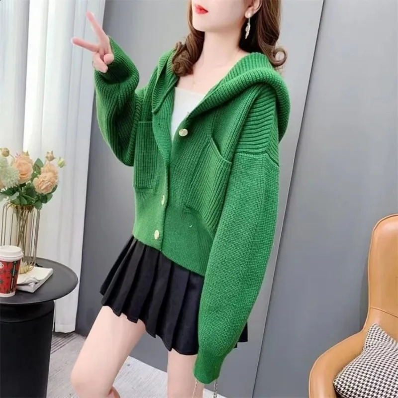 Hooded Knitted Sweater Woman Trending Fashion Korean Y2k Youth Style Crochet Top Wear To Work Loose Cardigan for Women 251022