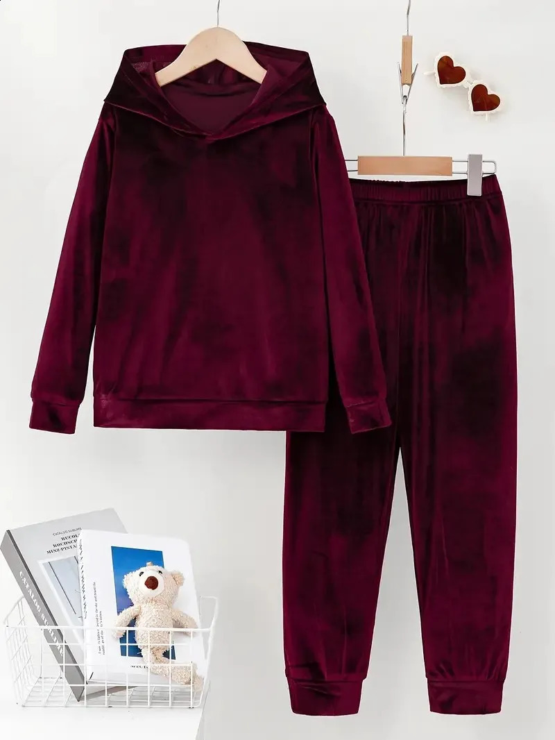 Autumn Winter Plush Two Piece Set Loose Solid Color Hooded Long Sleeved Sweatshirt Elastic Waist Trousers For Women 251022