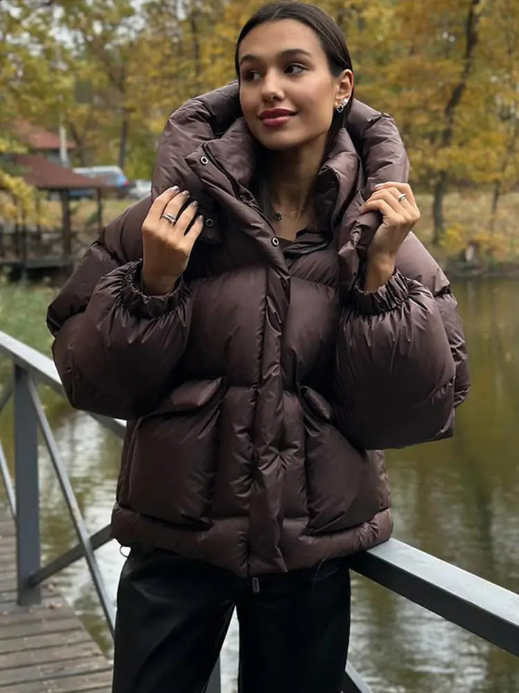 Casual Hooded Padded Jackets Womens Loose Full Sleeves Zipper Pockets Stand Collar Coats Autumn Winter Ladies Outwear 251021