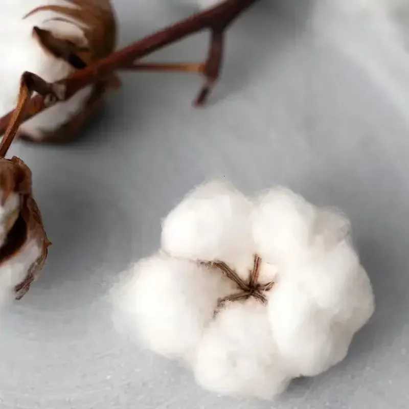 American Hiphop Fashion Brand Heavyweight Pure Cotton Black Hooded Sweatshirt 2025 Autumn Winter Mens Womens New HoodieT251023