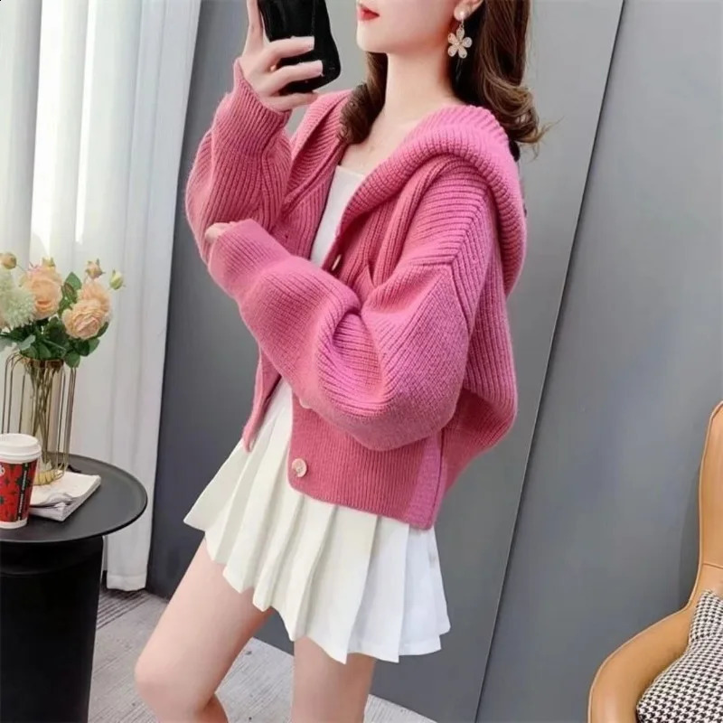 Hooded Knitted Sweater Woman Trending Fashion Korean Y2k Youth Style Crochet Top Wear To Work Loose Cardigan for Women 251022