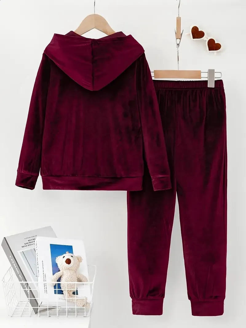 Autumn Winter Plush Two Piece Set Loose Solid Color Hooded Long Sleeved Sweatshirt Elastic Waist Trousers For Women 251022