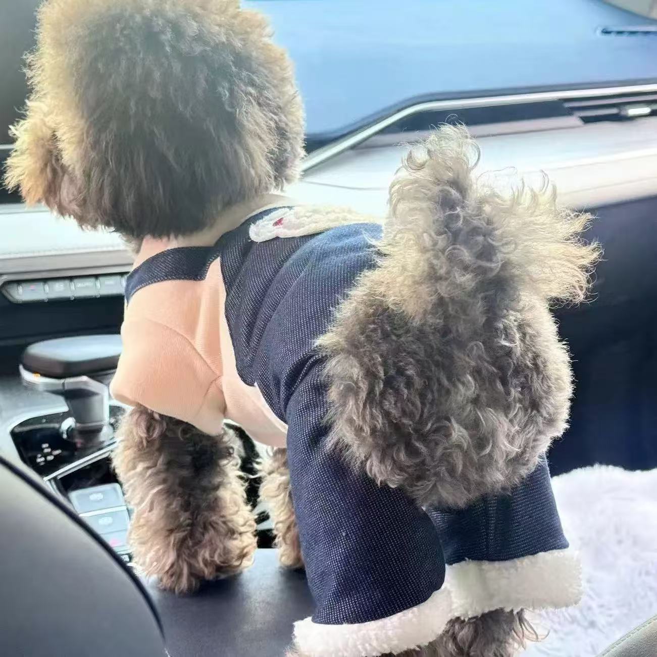 T1799 Dog and cat clothes pet winter fashion Teddy Bichon Schnauzer Pomeranian snowproof cotton coat thickened four-legged clothes