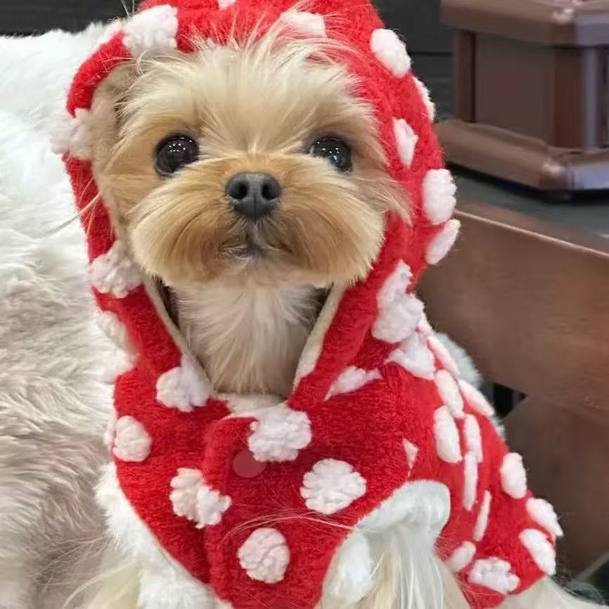 T1887 Cat autumn and winter vest warm plus fleece dog small and medium-sized dog outdoor traction buckle pet clothes