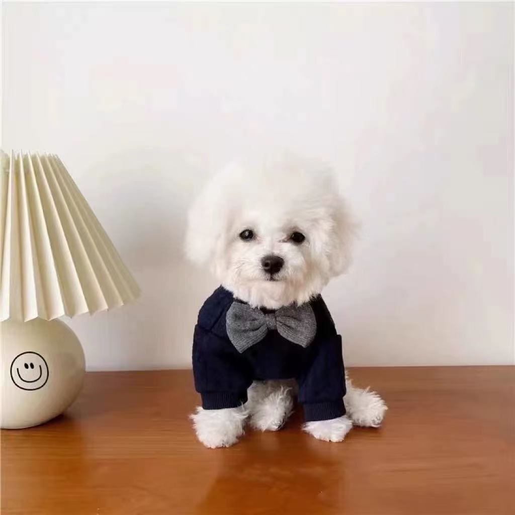 T1895 Pet puppy British gentleman bow tie clothes autumn and winter Teddy Bichon small puppy cat clothing