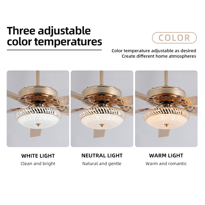fan lamp Elegant Full Range of Motion Ceiling Fan & LED Lighting Combination Offers Silent Performance