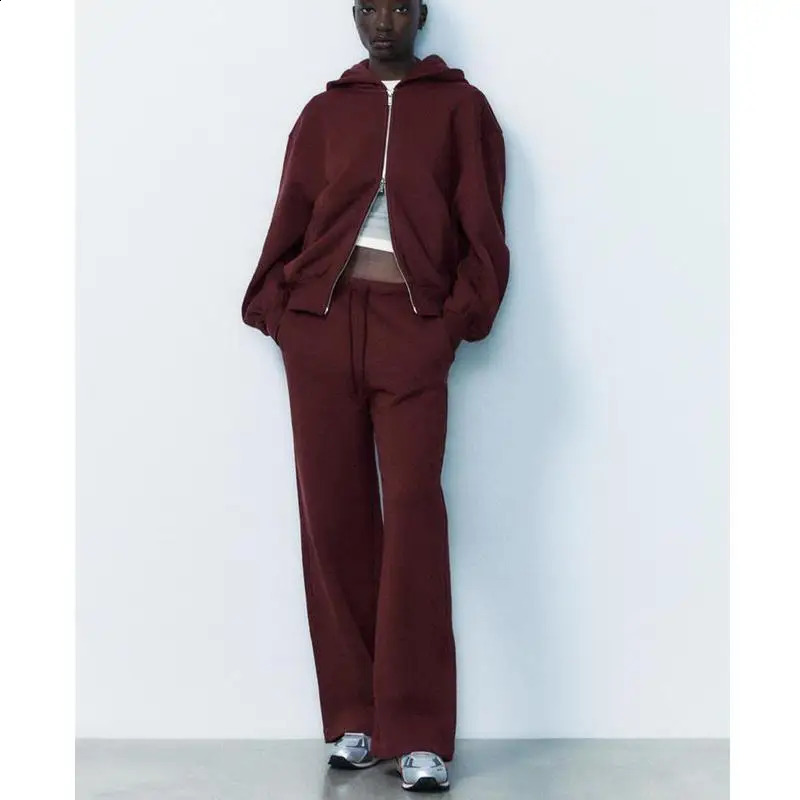 Autumn Winter Arrival Womens Velvet Straight Leg Pants Zipper Decorated Loose Hoodie Long Sve Casual Sportswear Set 251022