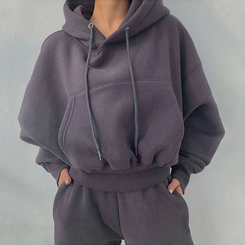 Hoodies Suit Women Autumn Winter Casual Tracksuit Fleece 2 Pieces Set Pullover Sports Sweatshirts Sweatpants Fashion Outfits 251022