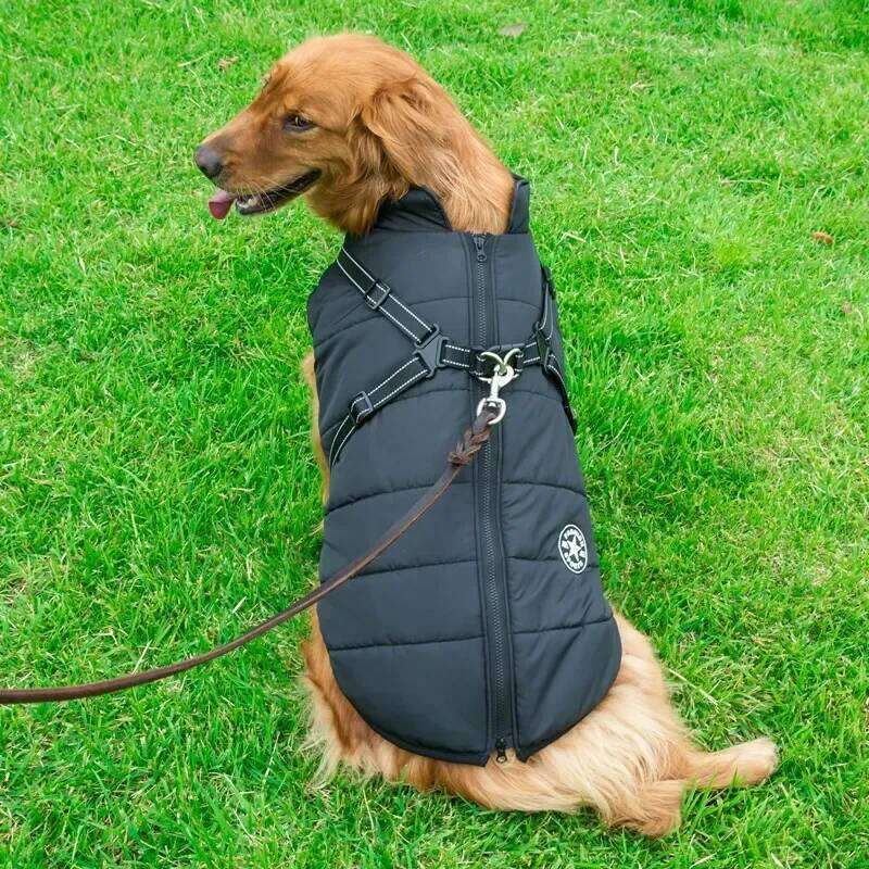 designer brand Large Pet Jacket With Harness Winter Warm Clothes For Labrador Waterproof Big Dog Coat Chihuahua French Bulldog Outfits