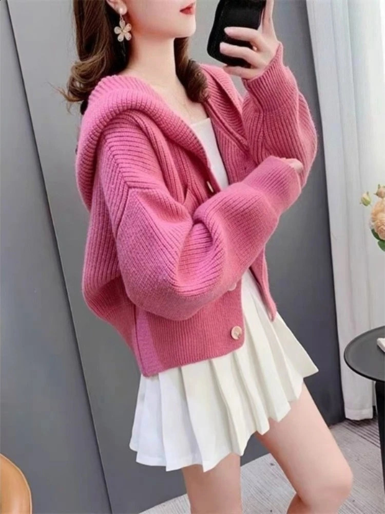 Hooded Knitted Sweater Woman Trending Fashion Korean Y2k Youth Style Crochet Top Wear To Work Loose Cardigan for Women 251022