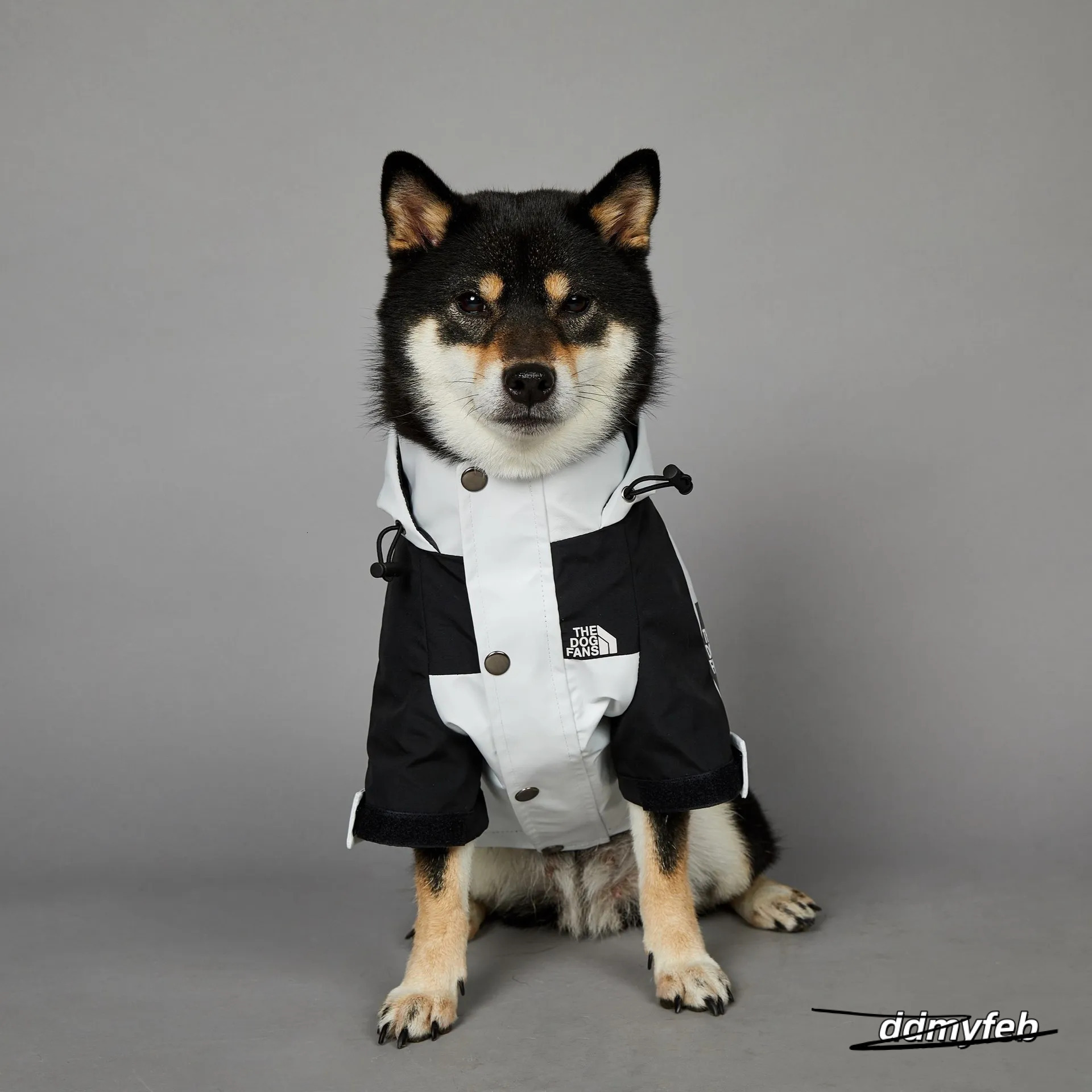 Autumn Winter Coat, Waterproof Dog With Leash Hole, Windproof Warm Outdoor Jacket Adjustable Hood Zipper Closure For Small To Large Dogs White XXXL A3