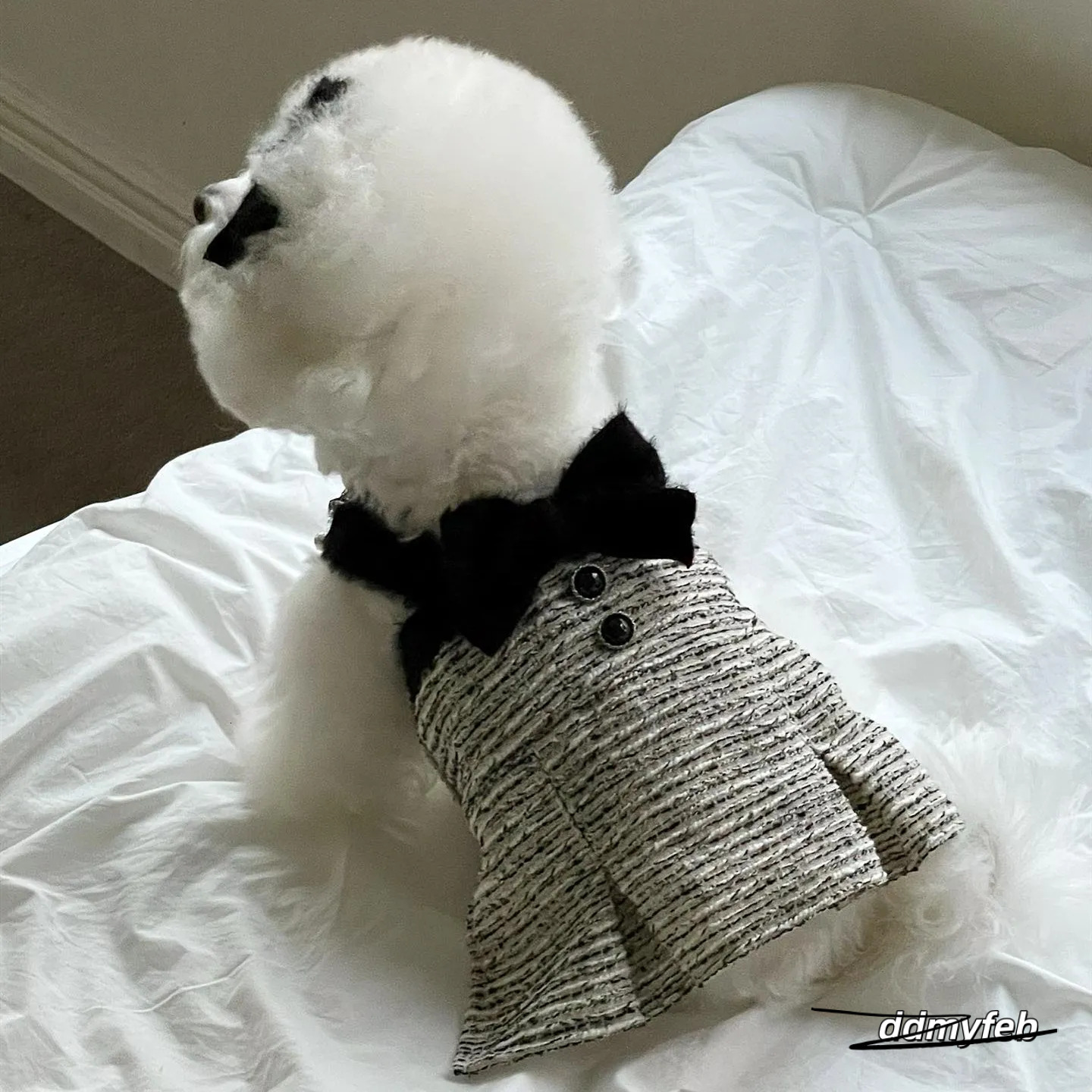 Princess Dog Apparel Dress Cute Pet Clothes Outfit Costume Puppy Dresses For Small Dogs Cat Girl Female Teacup Yorkie Chihuahua XS Ddmyfeb (Excluding 
