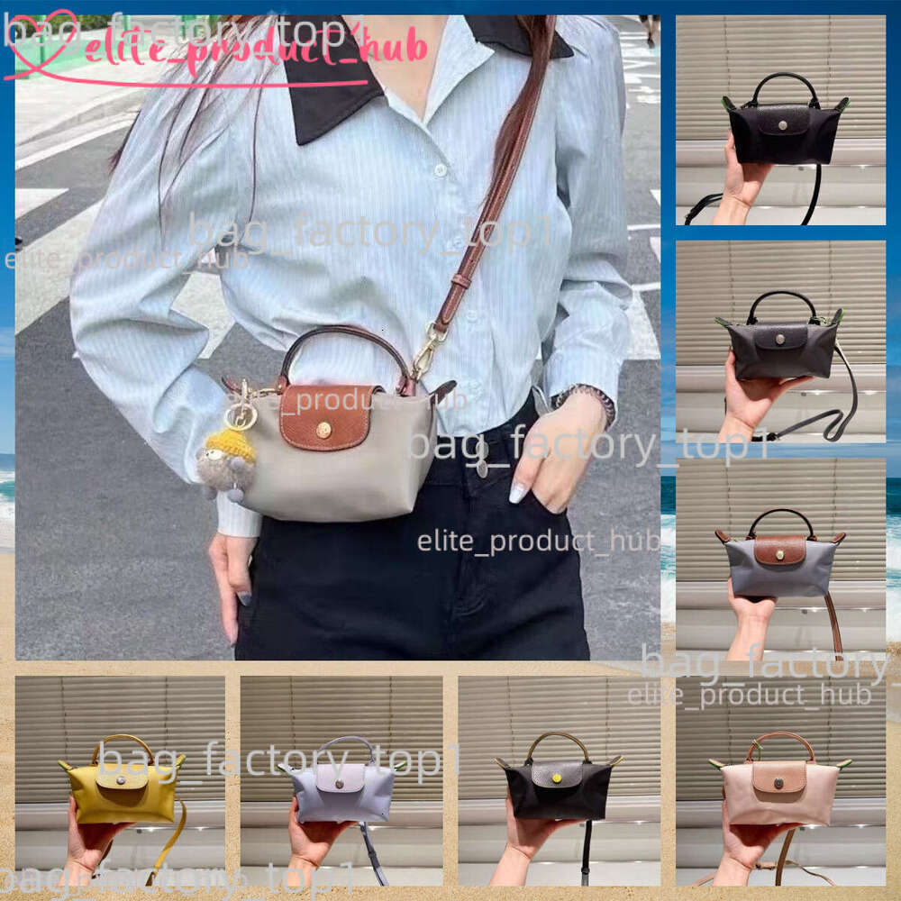 Designer Longlies Dumpling Champly Bag Tote Bag Purses Designer Woman Handbag Shoulder Bag Mini Totebag Crossbody Shopping Luxury Fashion Tote Bag Polychrome F00