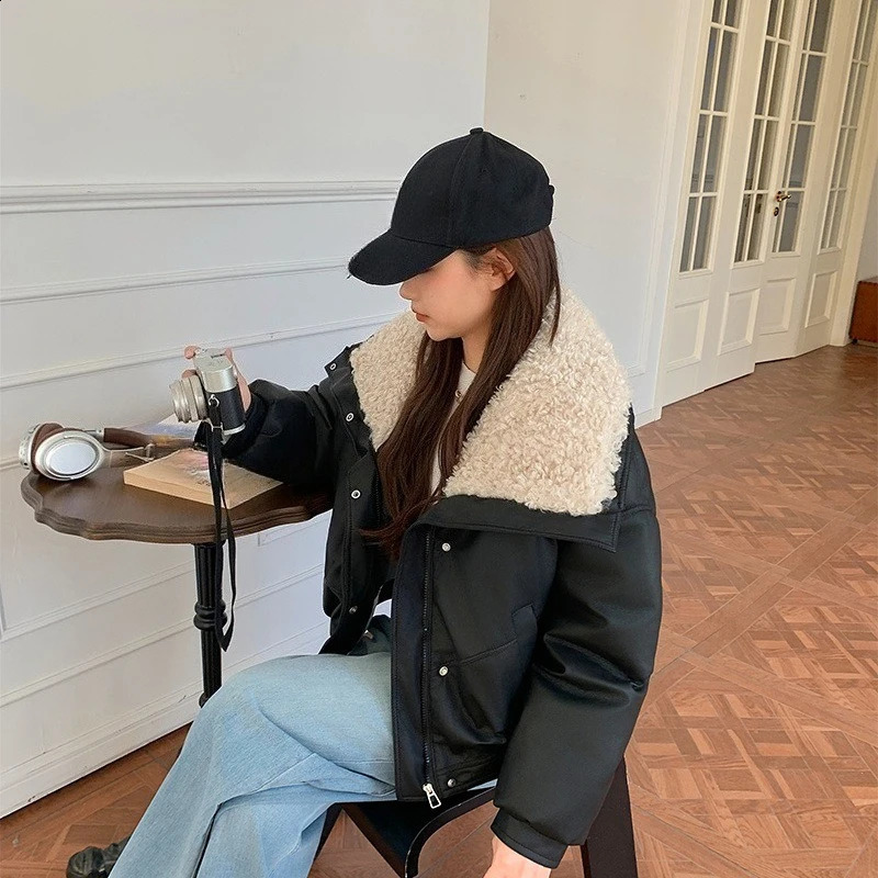 Autumn Winter in Collar Warm Womens Short Top Casual Loose Zipper Thick Commuting Style Leather Jackets for Women 251018