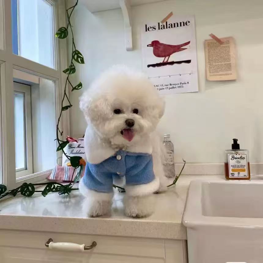 T1794 Small Breed Friendly T1794 Petwear: Soft Four-Legged Teddy Coat Ensemble