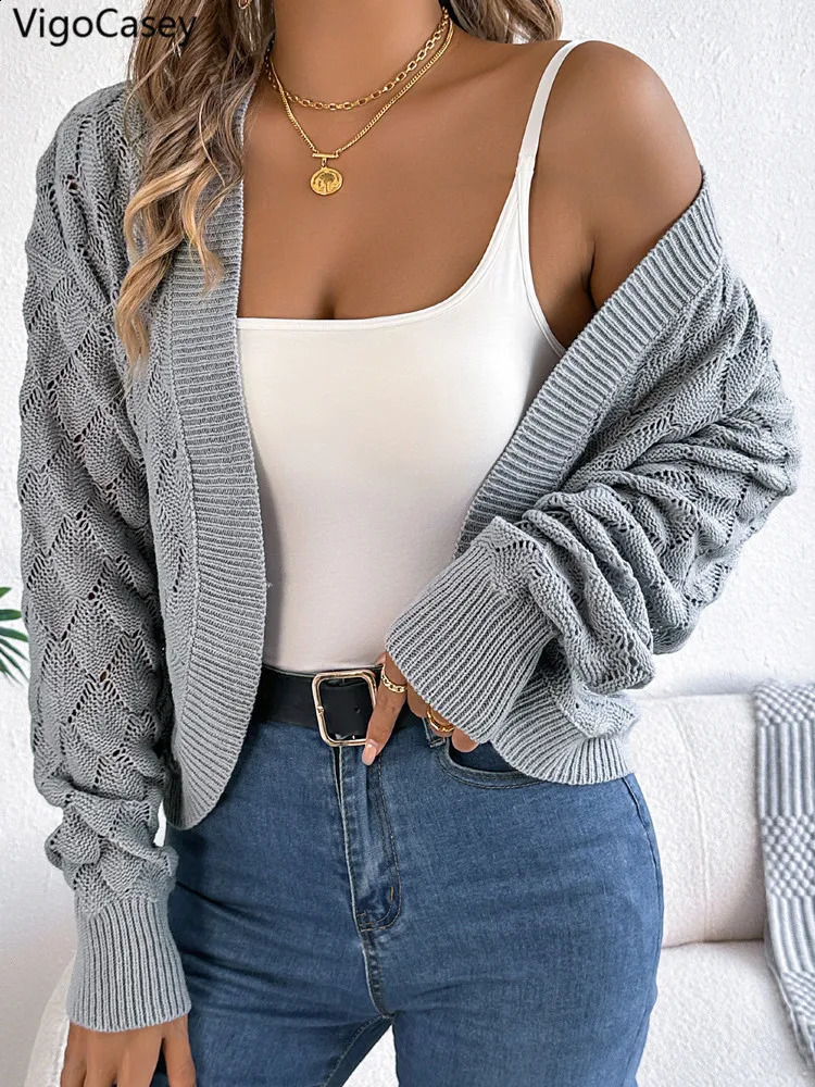 VigoCasey Autumn Solid Long Sleeve Sweater Grey Cardigan Winter Women Casual Short Lady Hollow Loose Knitted Coat 251022