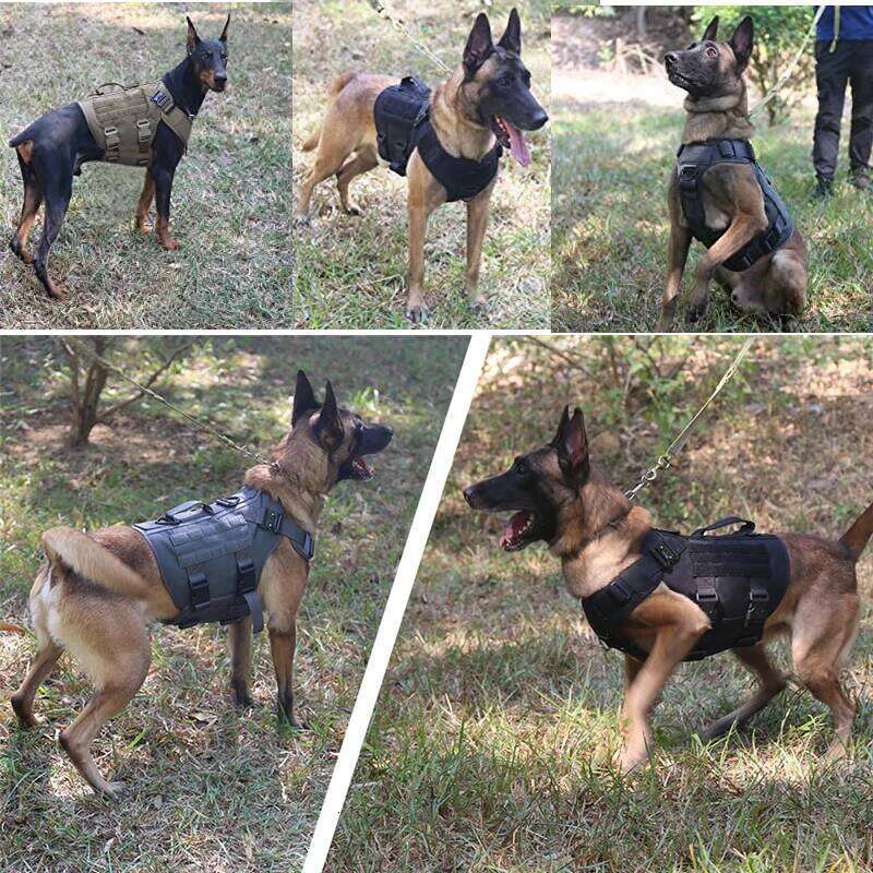 designer brand Military Vest Pet German Shepherd Golden Retriever Tactical Training Dog Harness and Leash Set For All Breeds Dogs