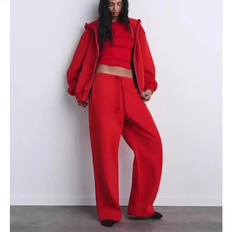 Autumn Winter Arrival Womens Velvet Straight Leg Pants Zipper Decorated Loose Hoodie Long Sve Casual Sportswear Set 251022