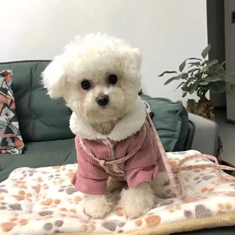T1789 Dog Clothes Thick Warm Cute Lambswool Teddy Bichon Pomeranian Small and Medium Dog Pet Cat Autumn and Winter Style