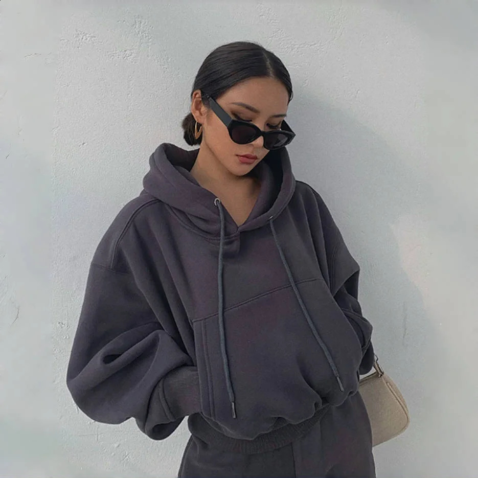 Hoodies Suit Women Autumn Winter Casual Tracksuit Fleece 2 Pieces Set Pullover Sports Sweatshirts Sweatpants Fashion Outfits 251022