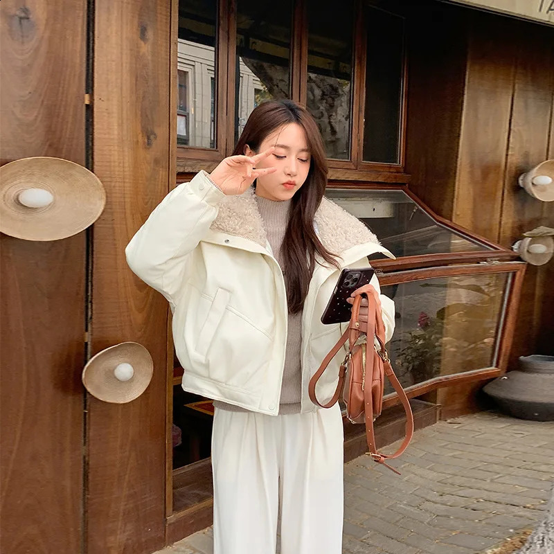 Autumn Winter in Collar Warm Womens Short Top Casual Loose Zipper Thick Commuting Style Leather Jackets for Women 251018