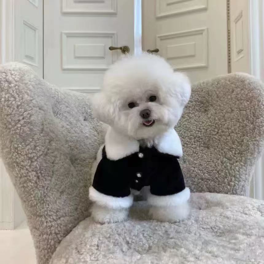 T1794 Small Breed Friendly T1794 Petwear: Soft Four-Legged Teddy Coat Ensemble