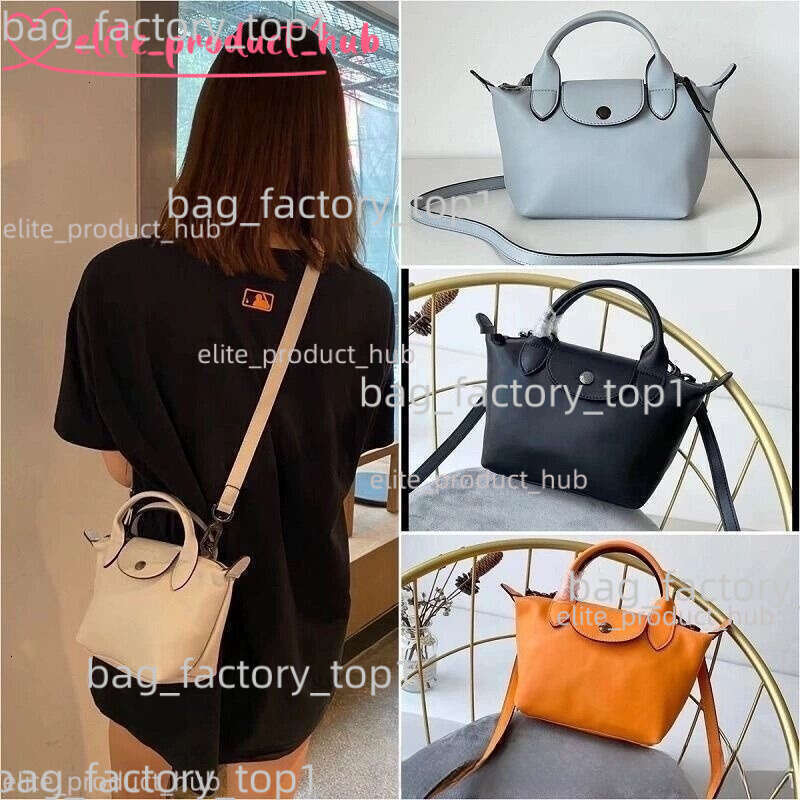 2025 New 3A Fashion Designer Bag Longlies Dumpling Champly Bag Hobos Les Pliages Cuirs Mini Bag Women's Luxury Travel Tote Bag Shopper Canvas Bag Shoulder Strap 43D