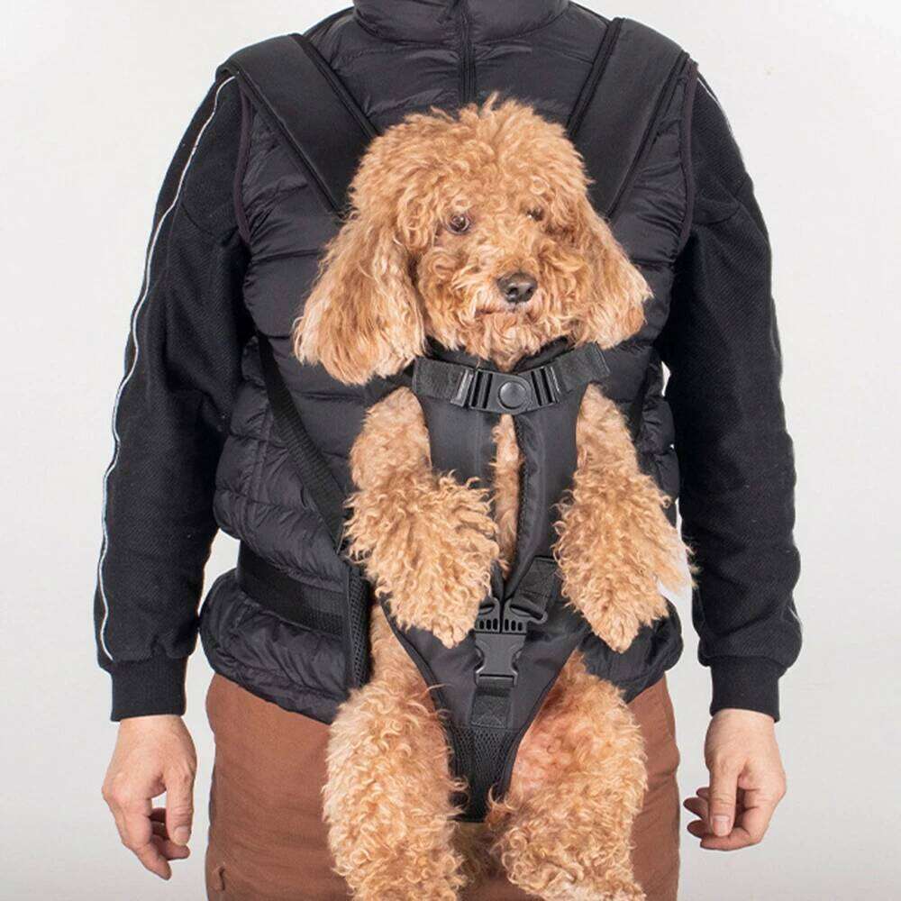 designer brand PC Pet Backpacks Adjustable Backpack Carrier Dog Front for Hiking Cycling