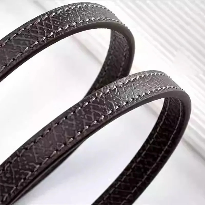 Leather Replacement Crossbody Bag Strap Fit for Longchamp Mini Earthy Color Shoulder Strap Without Punching Modification 251022