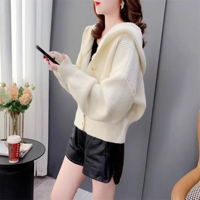 Hooded Knitted Sweater Woman Trending Fashion Korean Y2k Youth Style Crochet Top Wear To Work Loose Cardigan for Women 251022