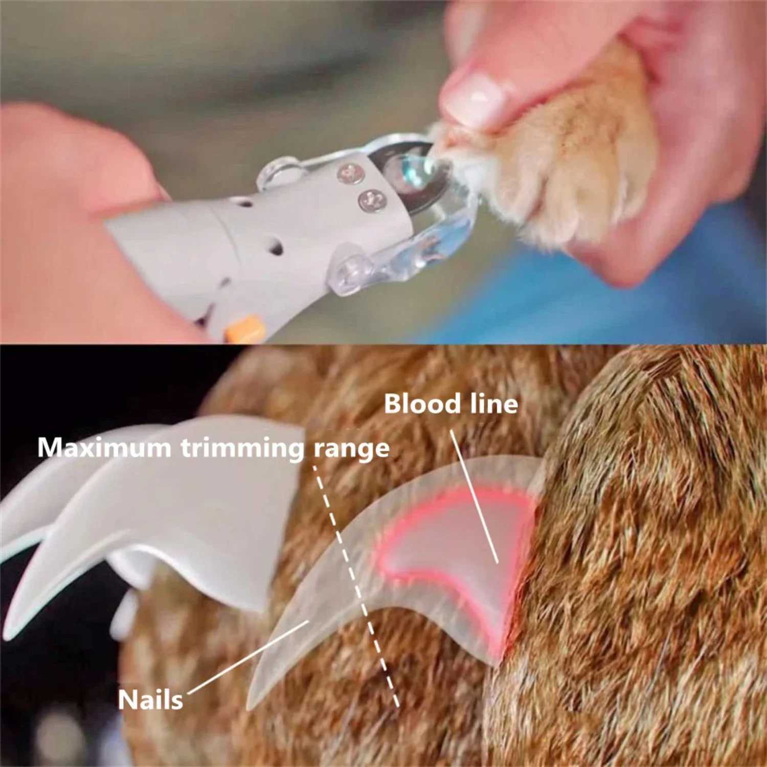 Pet Nail Clipper Scissors Pet Dog Cat Nail Cutter Toe Claw Clippers Scissor LED Light Nail Trimmer Pet Supplies Clippers for Men Z20251024
