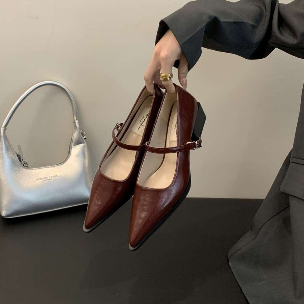 French Pointed Designer Shoe Toe Chunky Heel Mary Jane 2025 New Autumn Winter Shallow Gentle Evening Style Single Shoes Fairy Loafers