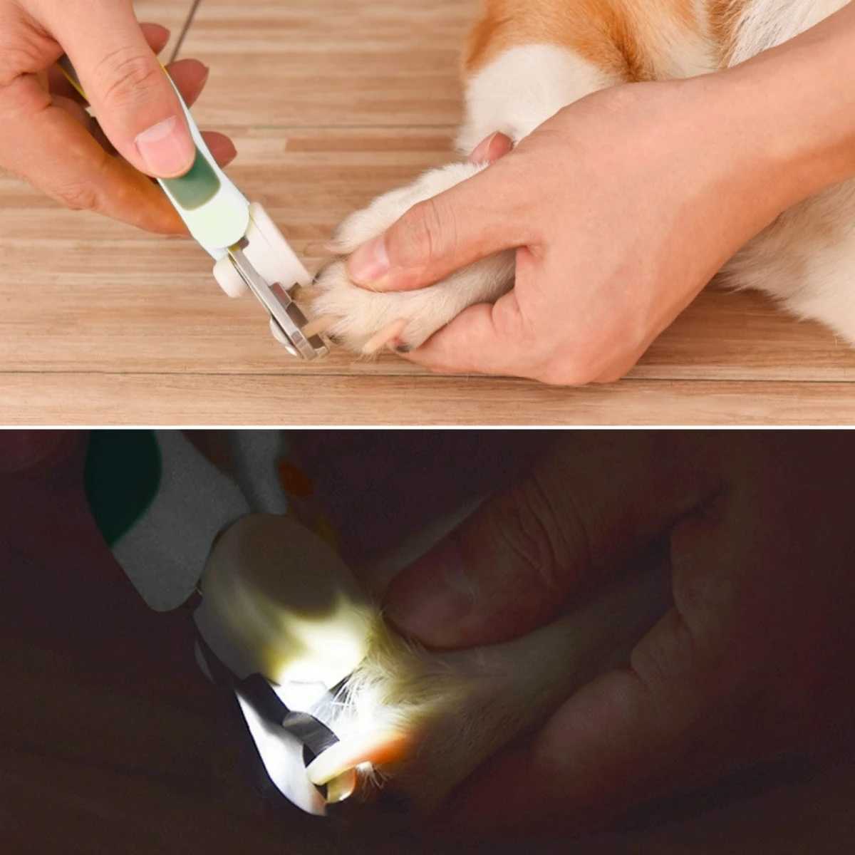 1Pc Pets Double Hole Round Mouth Nail Scissors with Led Light Multifunctional Pet Cats Dogs Nail Scissors Blood Line Prevention Z20251024