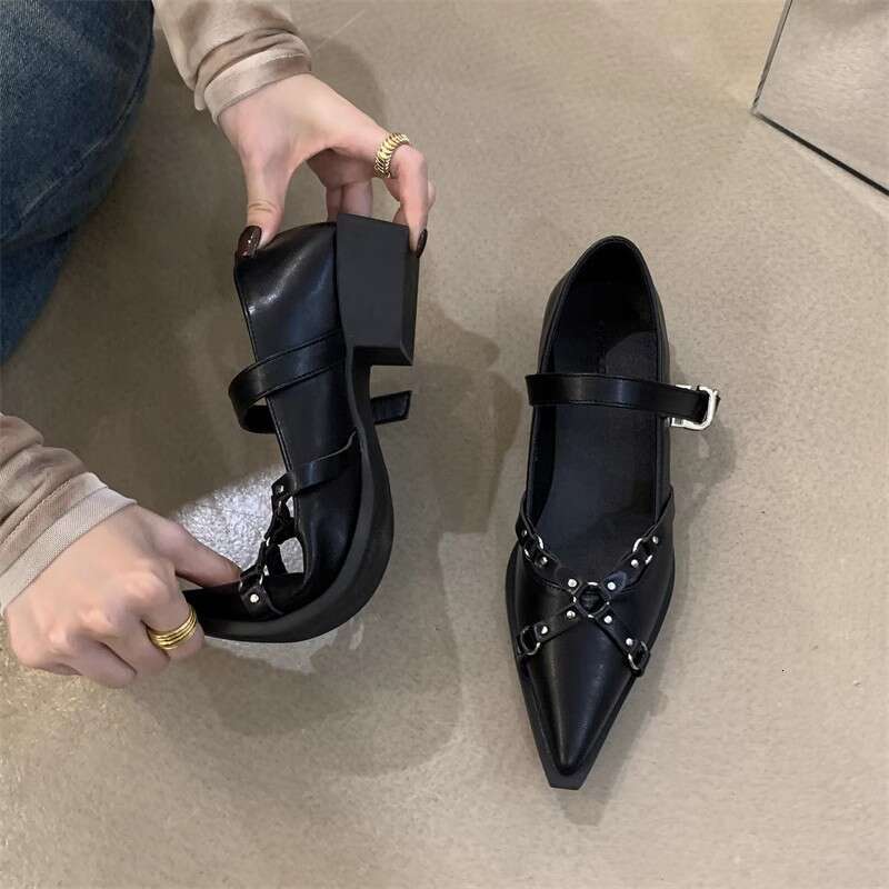 Punk Style Pointed Toe for Women 2025 New Spring Autumn Mary Jane Small Leather Niche Chunky Heel Black Designer Shoe Single Shoes