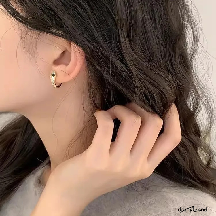 S Sterling Sier Serpentine Earrings For Women - Fashion Micro Zircon Inlaid Bright Hip Hop Style Ddmyfriend